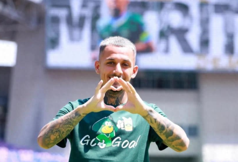 事情的起因, OEGfb, 赛的顶级球 事情的起因, OEGfb, 赛的顶级球